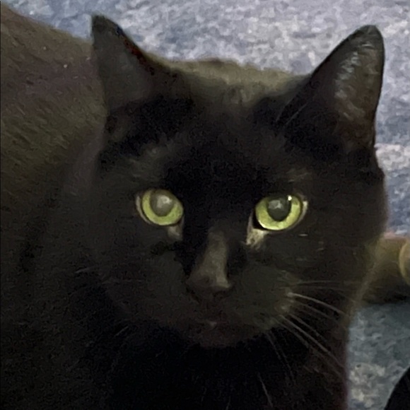 Meet your Posher, NoReflection - Picture 4 of 7